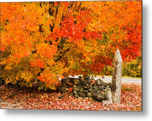 Autumn Foliage New England Metal Print featuring the photograph Fiery rock wall by Jeff Folger
