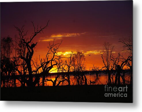Into The Night Metal Print featuring the photograph Fire in the Sky by Blair Stuart