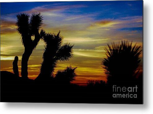 Desert Sunrise Metal Print featuring the photograph FirsT LighT by Angela J Wright