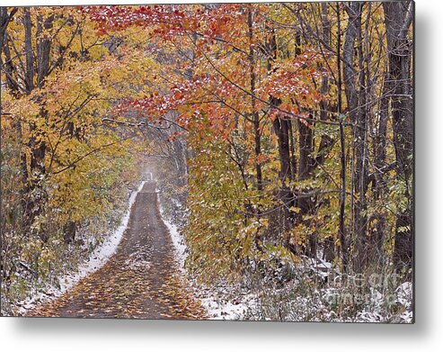 Fall Metal Print featuring the photograph First Snow by Alan L Graham