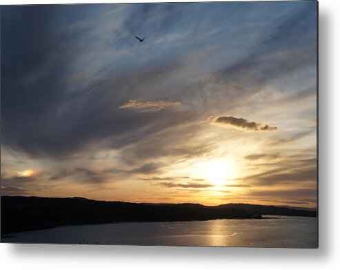 Firth Of Forth Metal Print featuring the photograph Firth of Forth in the sunset by Elena Perelman