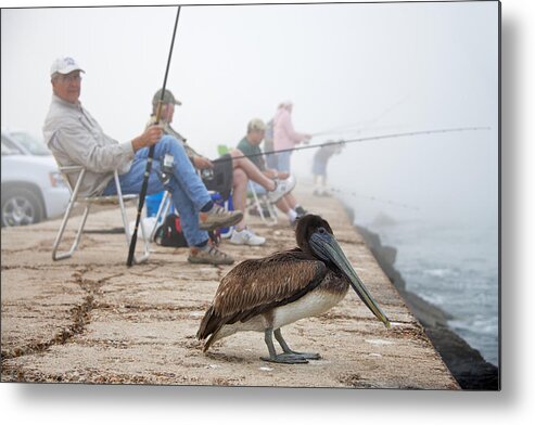 Bird Metal Print featuring the photograph Port Aransas Texas by Mary Lee Dereske