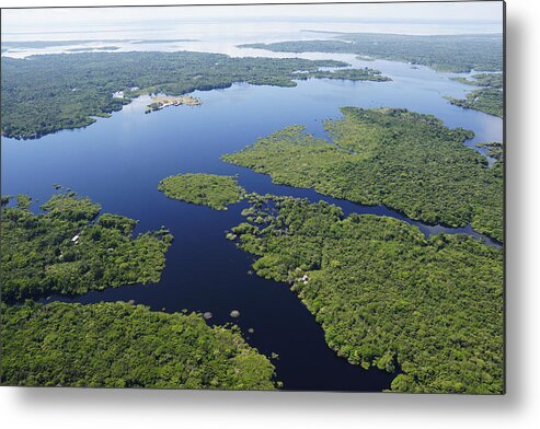 Feb0514 Metal Print featuring the photograph Flooded Forest Amazon River Brazil by Hiroya Minakuchi