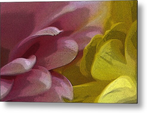 Floral Metal Print featuring the photograph Floral Impressions by Claudio Bacinello
