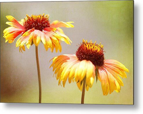Flower Artwork Metal Print featuring the photograph Floral Sunshine by Mary Buck