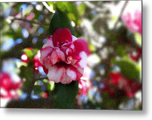 Flower Metal Print featuring the photograph Flower by Bill Howard