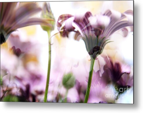 Background Metal Print featuring the photograph Flower by THP Creative
