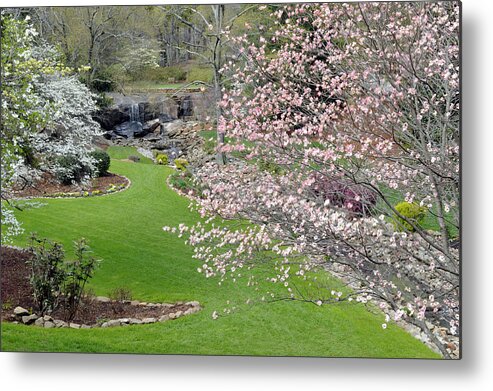 Cleveland Park Metal Print featuring the photograph Flowering Dogwoods In Cleveland Park's Rock Quarry Falls by Willie Harper