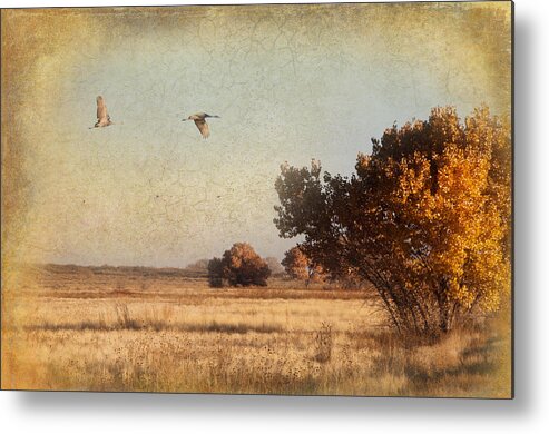 Sandhill Cranes Metal Print featuring the photograph Fly away by Carolyn D'Alessandro