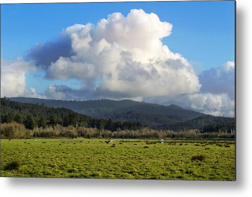 Humboldt Metal Print featuring the photograph Fly By by Jon Exley