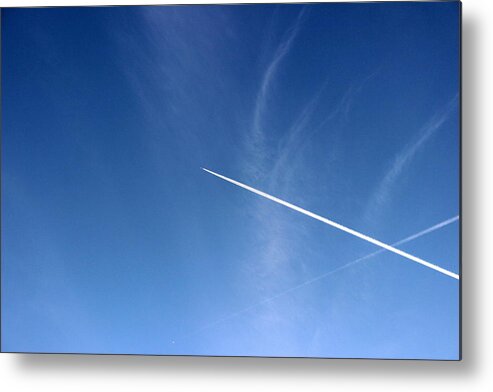 Flying High Metal Print featuring the photograph Flying High by Beth Vincent