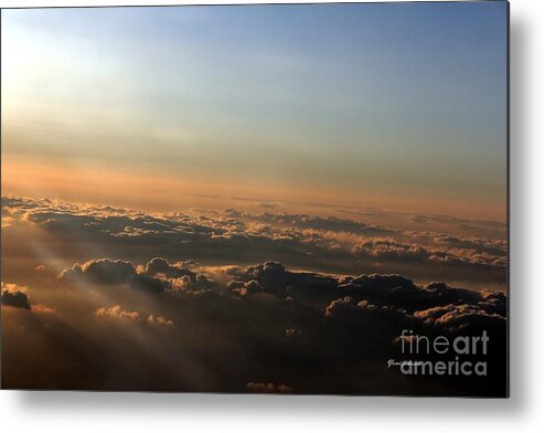 Flying Metal Print featuring the photograph Flying with Sunset by Yumi Johnson