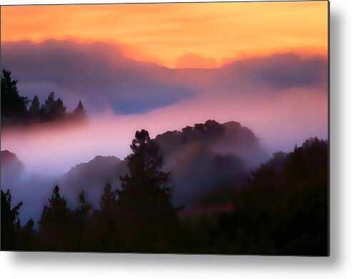 Bodega Bay Metal Print featuring the photograph Fog rolls in from the Ocean by Wernher Krutein