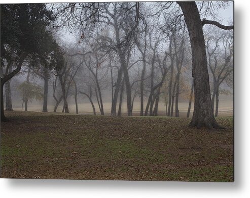 Fog Metal Print featuring the photograph Foggy Morning by Greg Kopriva