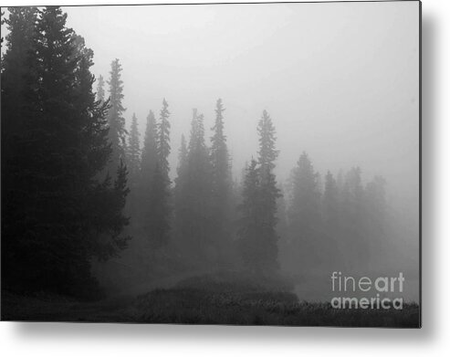 Black And White Metal Print featuring the photograph Foggy Mt Evans by Barbara Schultheis