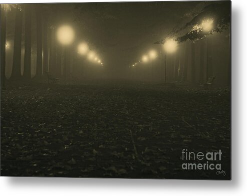 Italy Metal Print featuring the photograph Foggy night in a park by Prints of Italy