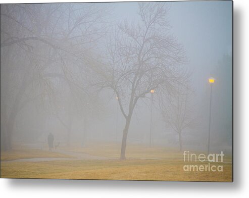Fog Metal Print featuring the photograph Foggy Park Morning by James BO Insogna