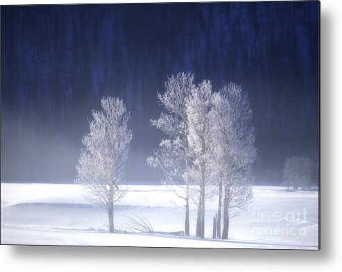 North America Metal Print featuring the photograph Foggy Sunrise in Yellowstone National Park by Dave Welling