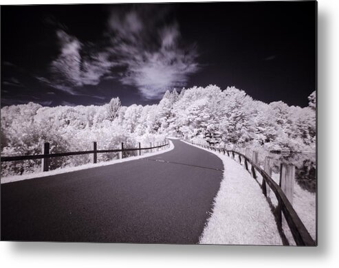 Landscape Metal Print featuring the photograph Infrared through the Trees by Crystal Wightman