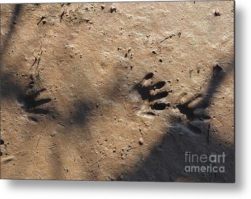Footprints Metal Print featuring the photograph Footprints2 by Laurianna Taylor