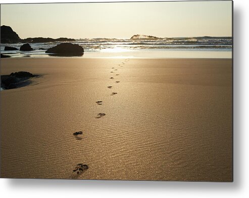 Journey Metal Print featuring the photograph Footsteps Leading Towards Sea At Beach by Dougal Waters