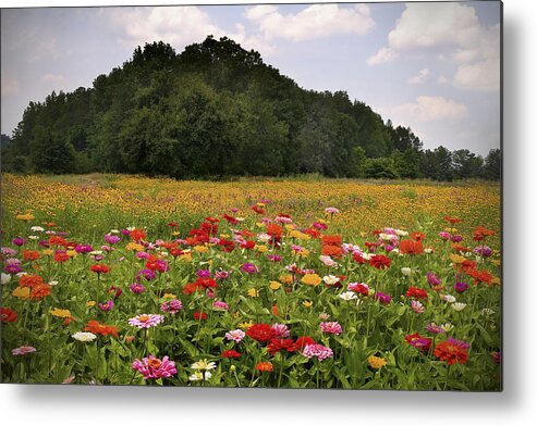 Flowers Metal Print featuring the photograph For the Beauty of the Earth by T Lowry Wilson