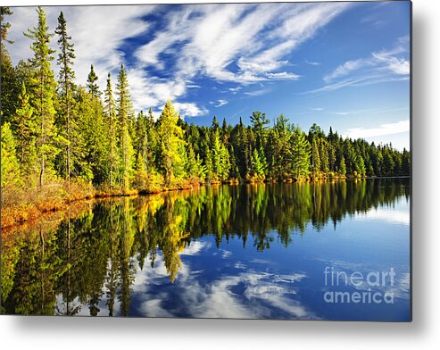 Lake Metal Print featuring the photograph Forest reflecting in lake by Elena Elisseeva