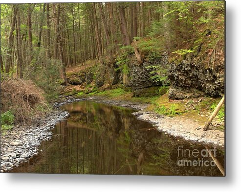 Woods Metal Print featuring the photograph Forest Refletions In Raymondskill by Adam Jewell
