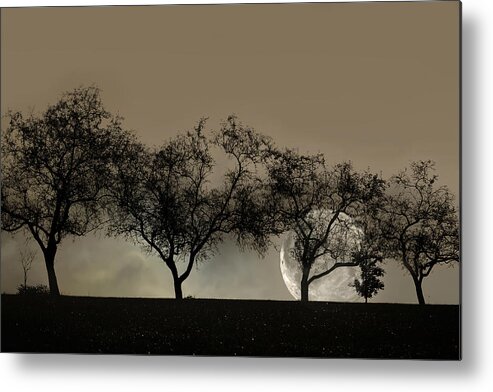 Trees Metal Print featuring the photograph Four Trees and a Moon by Ann Bridges
