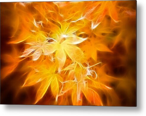 Color Metal Print featuring the photograph Fractal Gold 6664 by Timothy Bischoff