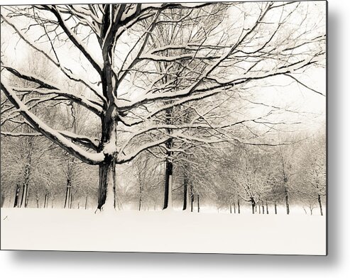 Francis Park Metal Print featuring the photograph Francis Park in snow by Scott Rackers