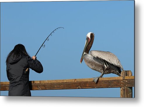 Wild Metal Print featuring the photograph Free Dinner by Christy Pooschke