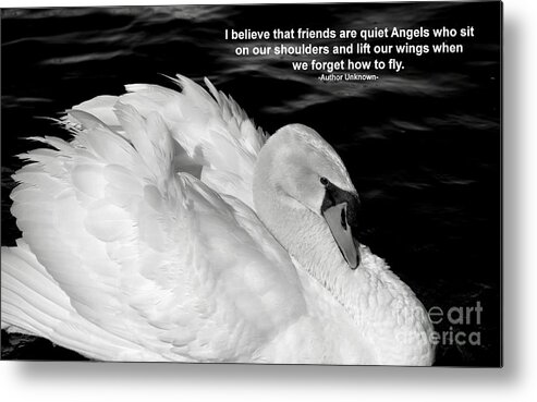 White Swan Metal Print featuring the photograph Friends by Deb Halloran