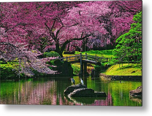Tokyo Metal Print featuring the photograph Friends by Midori Chan