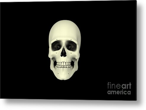 Horizontal Metal Print featuring the digital art Front View Of Human Skull by Stocktrek Images