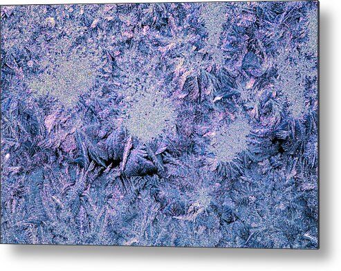 Blue Metal Print featuring the photograph Frost - 2 by Nicole Couture-Lord
