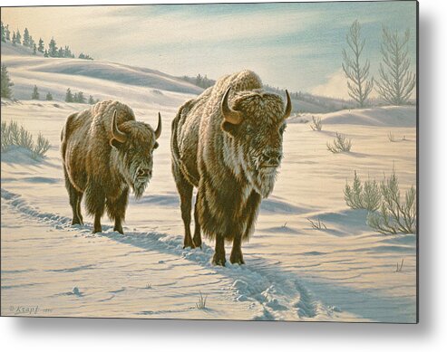 Wildlife Metal Print featuring the painting Frosty Morning - Buffalo by Paul Krapf