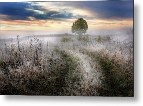 Frost Metal Print featuring the photograph Frosty Morning by Kirill Volkov