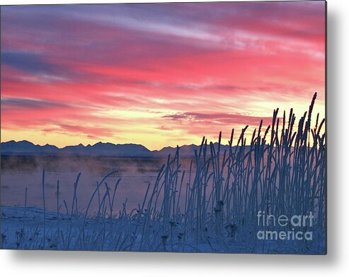 Sky Metal Print featuring the photograph Frosty Winter Sunrise by Rick Monyahan