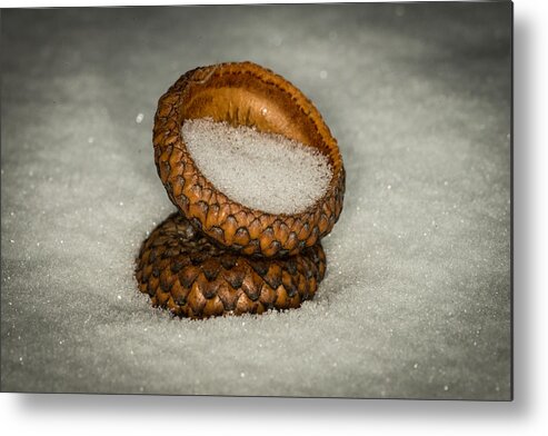Nature Photograph Metal Print featuring the photograph Frozen Acorn Cupule by Paul Freidlund