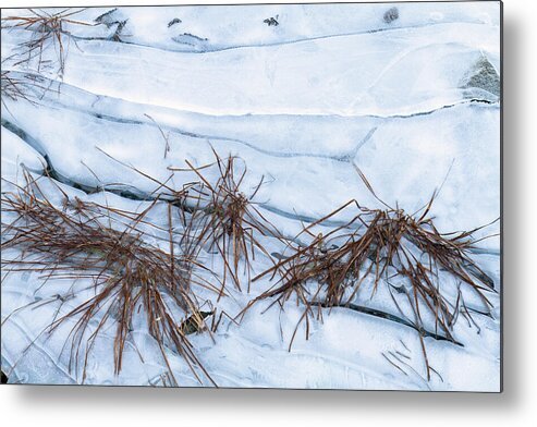 British Columbia Metal Print featuring the photograph Frozen Shore by Michael Russell