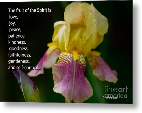 Spring Metal Print featuring the photograph Fruit of the Spirit by Sandra Clark