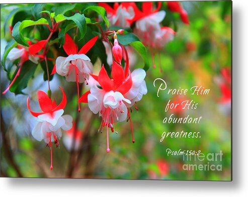 Fuchsia Metal Print featuring the photograph Fuchsia Blooms with Scripture by Jill Lang