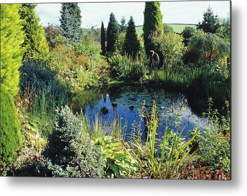 Garden Metal Print featuring the photograph Garden Pond by Duncan Smith/science Photo Library