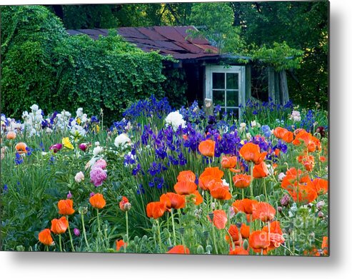 Adjectives Metal Print featuring the photograph Garden shed by Oscar Gutierrez