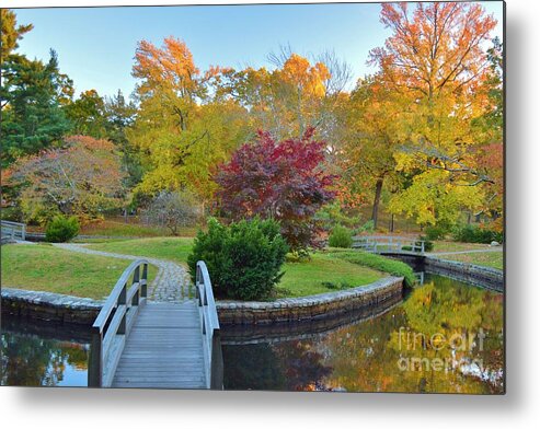 Nature Metal Print featuring the photograph The Bridge to Autumn Too by Tammie Miller