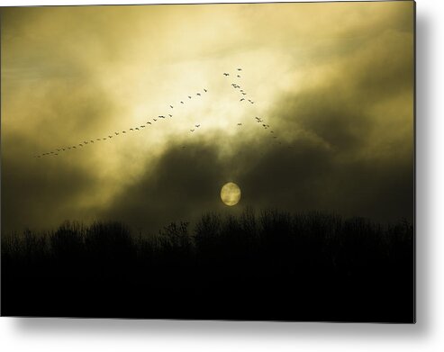 Geese Metal Print featuring the photograph Geese at Sunset by Larry Goss