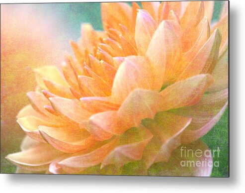 Gently Textured Dahlia Metal Print featuring the digital art Gently Textured Dahlia by Femina Photo Art By Maggie