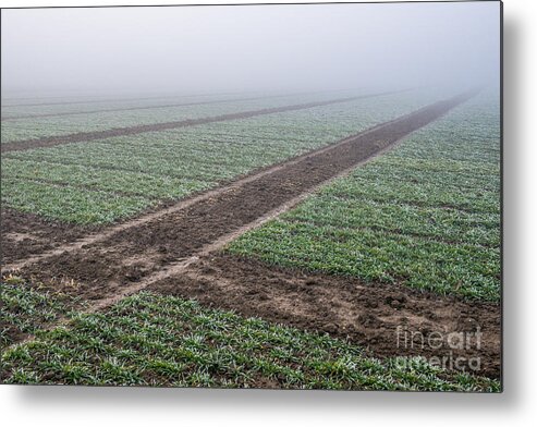Austria Metal Print featuring the photograph Geometry In Agriculture by Hannes Cmarits