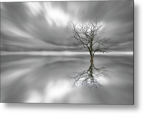 Tree Metal Print featuring the photograph Ghost Tree by Leif L?ndal